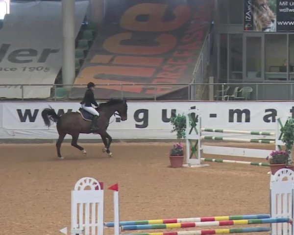 Reitturnier Kreuth 2018