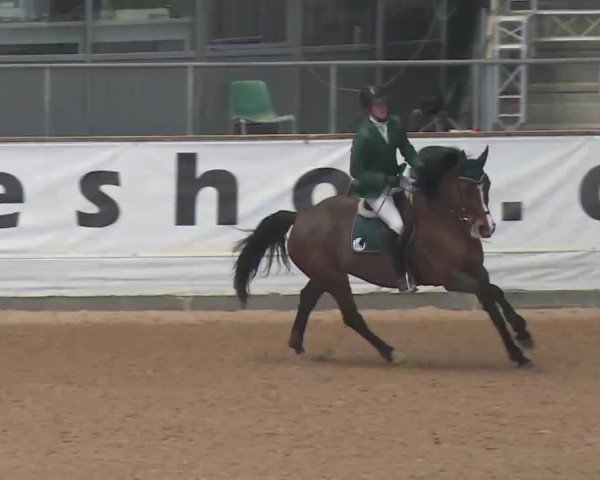 Reitturnier Kreuth 2018