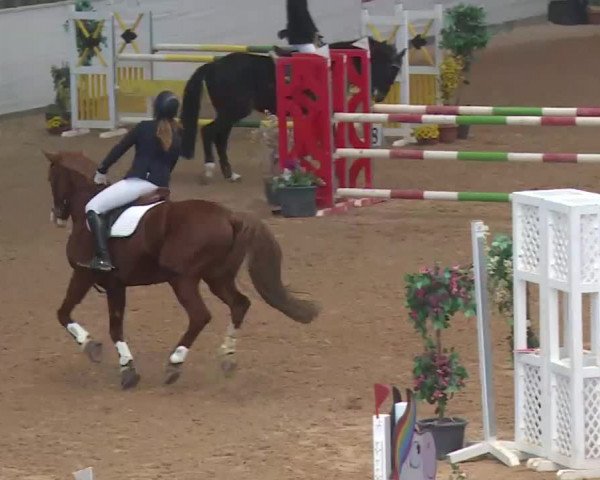Reitturnier Kreuth 2018