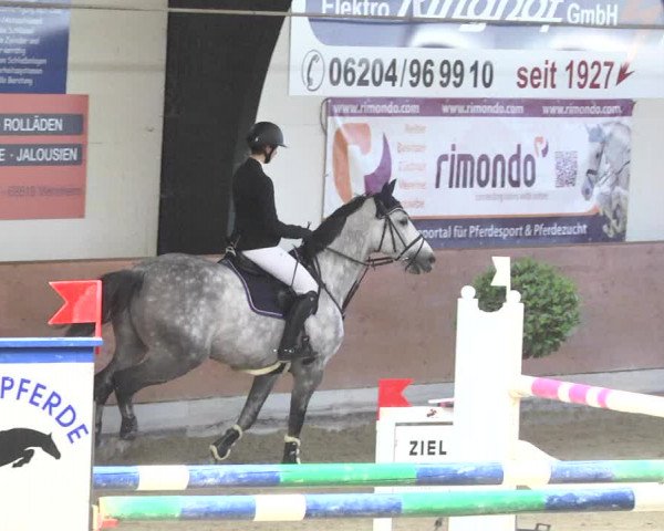 Reitturnier Viernheim 2018