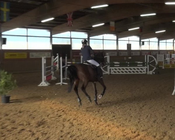 Reitturnier Lembeck 2018