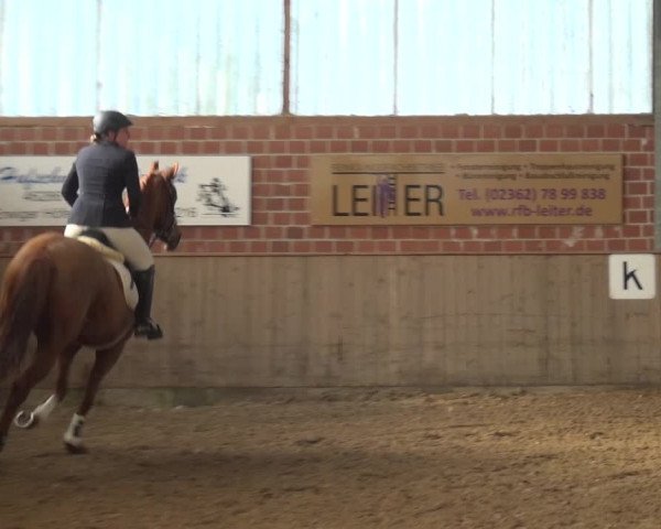 Reitturnier Lembeck 2018