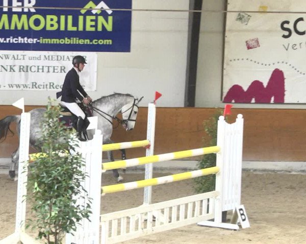 Reitturnier Viernheim 2018