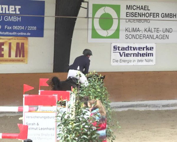Reitturnier Viernheim 2018