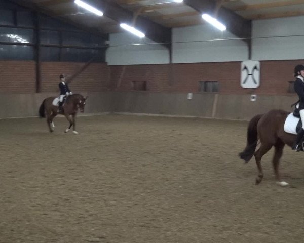 Reitturnier Lembeck 2018