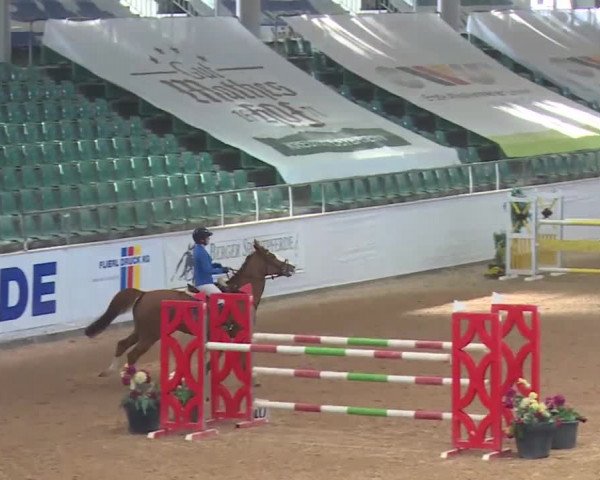 Reitturnier Kreuth 2018