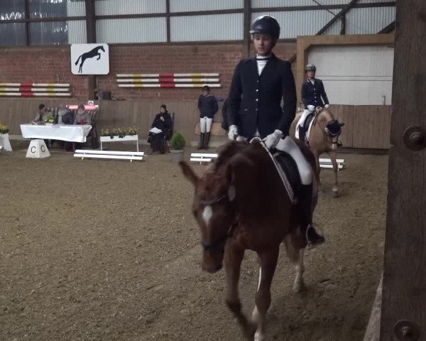 Reitturnier Lembeck 2018