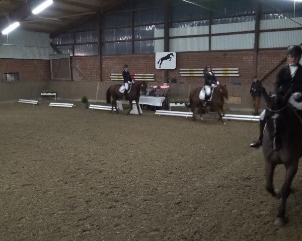Reitturnier Lembeck 2018