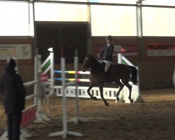 Reitturnier Lembeck 2018