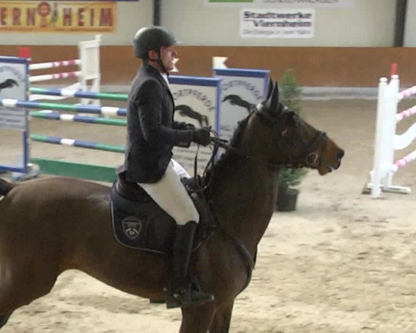 Reitturnier Viernheim 2018