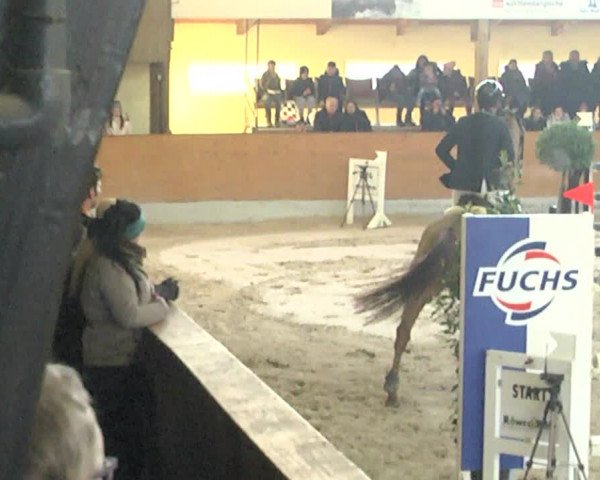 Reitturnier Viernheim 2018