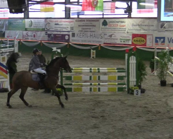 Reitturnier Keppeln  - Reitanlage "Hötzenhof" 2018