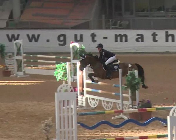 Reitturnier Kreuth 2018