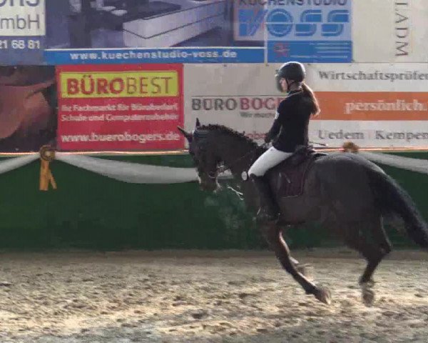Reitturnier Keppeln  - Reitanlage "Hötzenhof" 2018