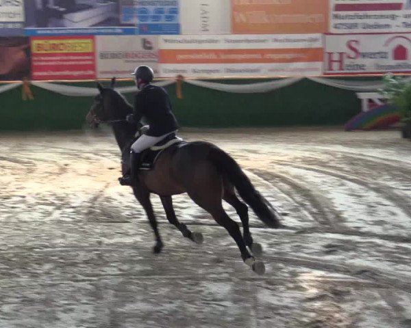 Reitturnier Keppeln  - Reitanlage "Hötzenhof" 2018
