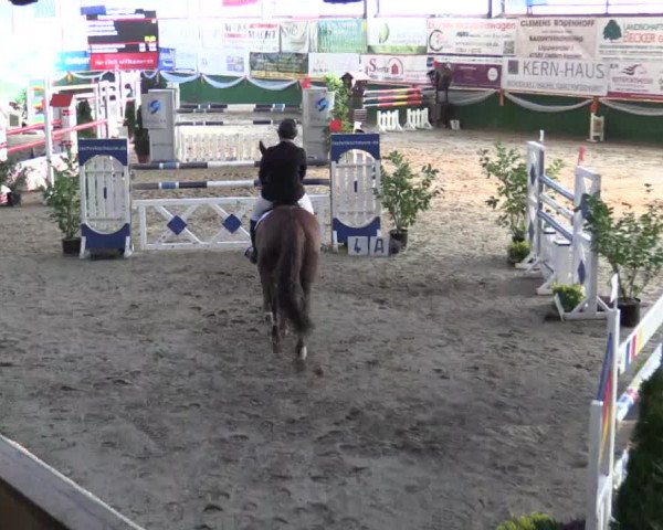 Reitturnier Keppeln  - Reitanlage "Hötzenhof" 2018