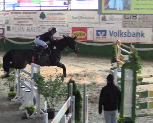 Reitturnier Keppeln  - Reitanlage "Hötzenhof" 2018