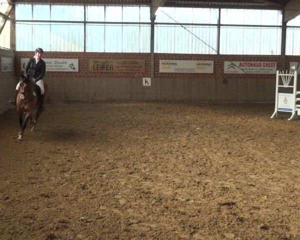 Reitturnier Lembeck 2018