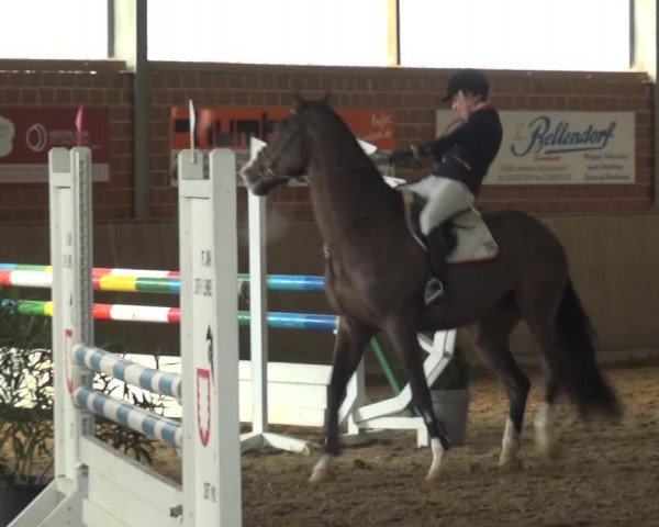 Reitturnier Lembeck 2018