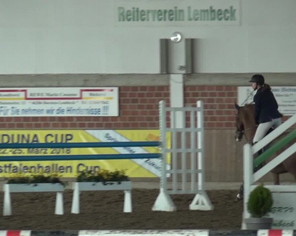 Reitturnier Lembeck 2018