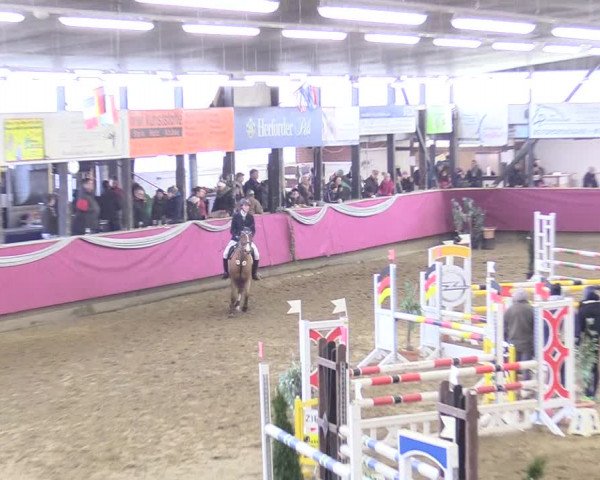 Reitturnier Vlotho-Exter 2018