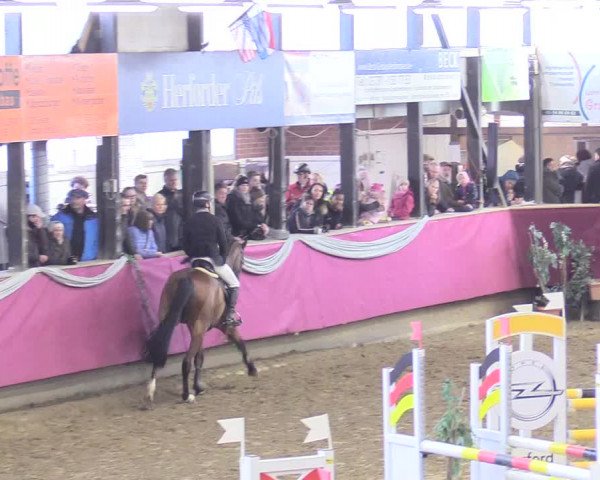 Reitturnier Vlotho-Exter 2018