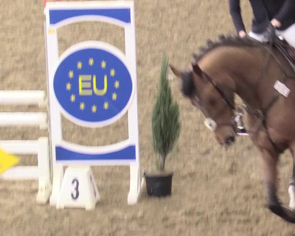 Reitturnier Vlotho-Exter 2018