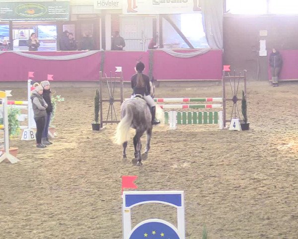 Reitturnier Vlotho-Exter 2018