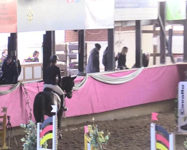 Reitturnier Vlotho-Exter 2018