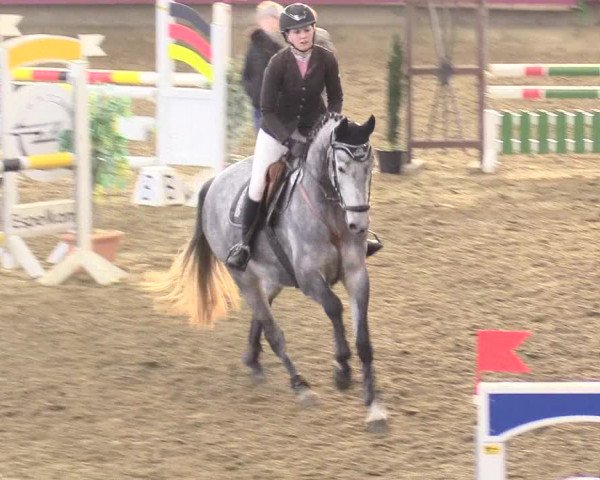 Reitturnier Vlotho-Exter 2018