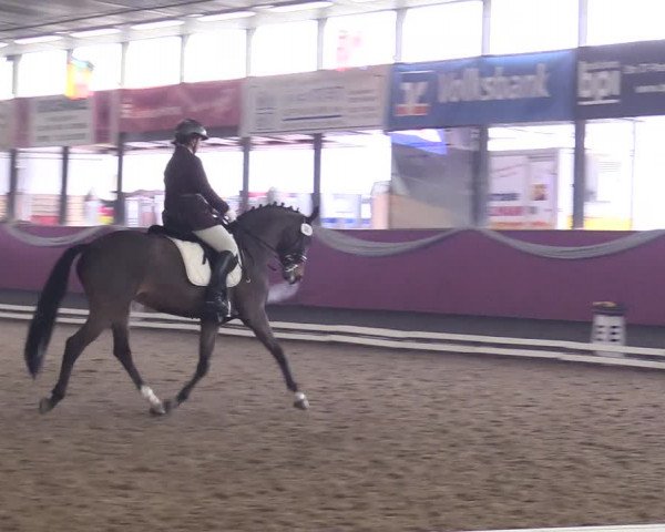 Reitturnier Vlotho-Exter 2018