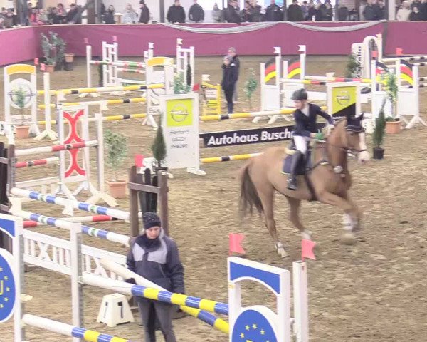 Reitturnier Vlotho-Exter 2018