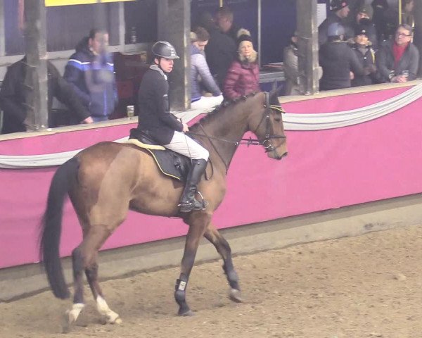 Reitturnier Vlotho-Exter 2018