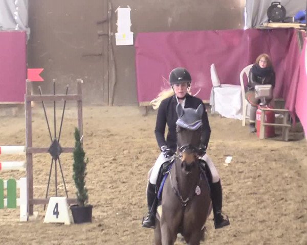 Reitturnier Vlotho-Exter 2018