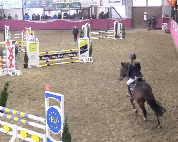 Reitturnier Vlotho-Exter 2018