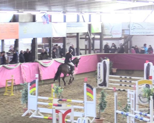 Reitturnier Vlotho-Exter 2018