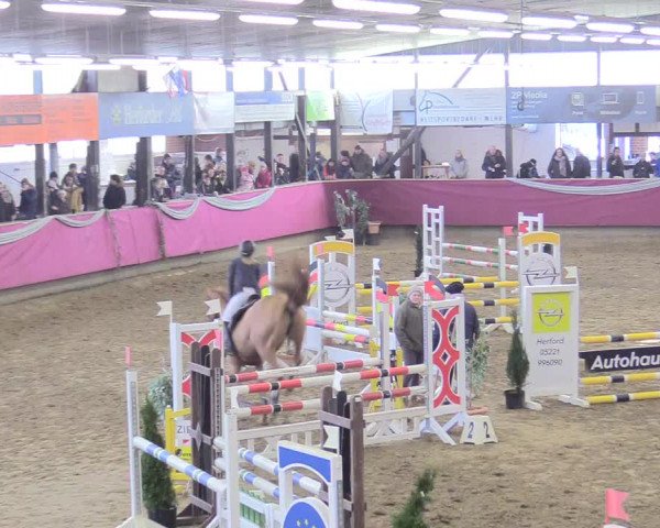 Reitturnier Vlotho-Exter 2018