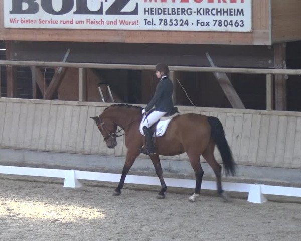 Reitturnier Heidelberg-Kirchheim 2018