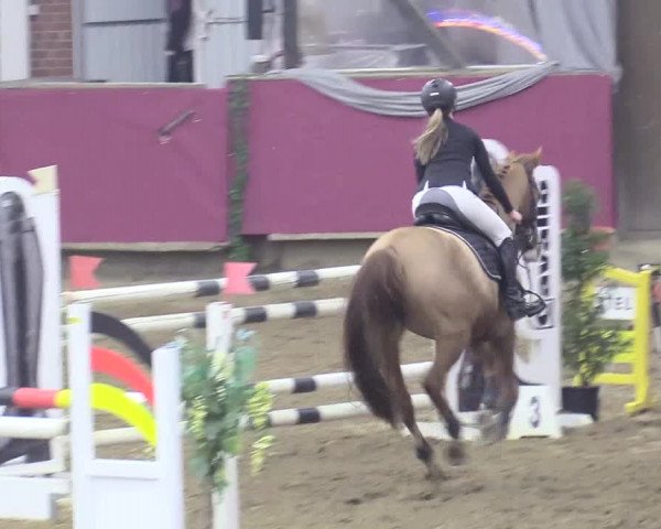 Reitturnier Vlotho-Exter 2018