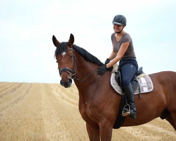dressage horse Braveheart 44 (Westphalian, 2011, from Basic)