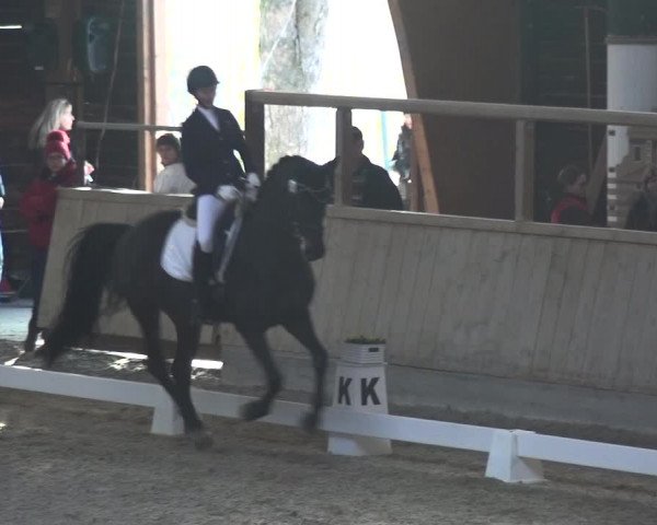 Reitturnier Heidelberg-Kirchheim 2018