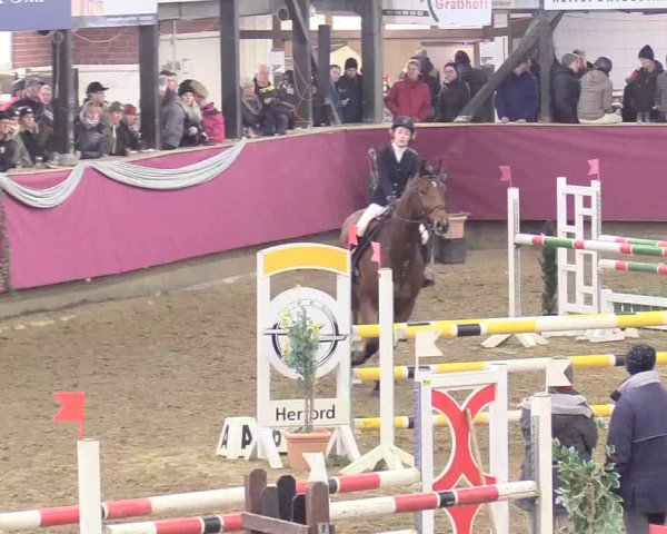 Reitturnier Vlotho-Exter 2018