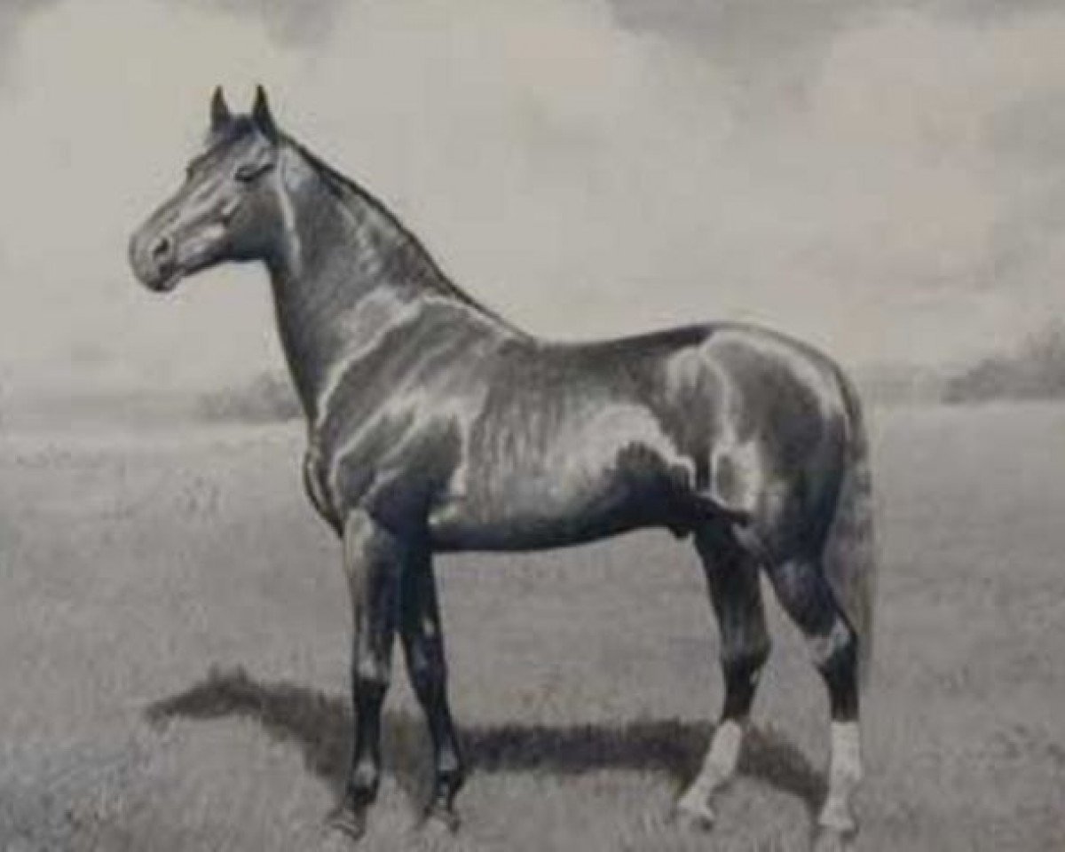 stallion Allerton 5128 (US) (American Trotter, 1886, from Jay Bird 5060 (US))