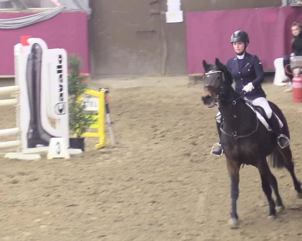 Reitturnier Vlotho-Exter 2018