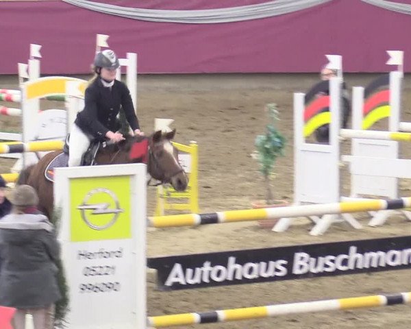 Reitturnier Vlotho-Exter 2018