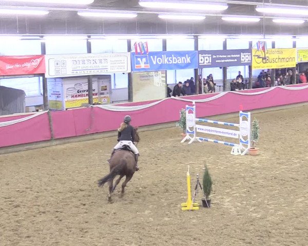 Reitturnier Vlotho-Exter 2018