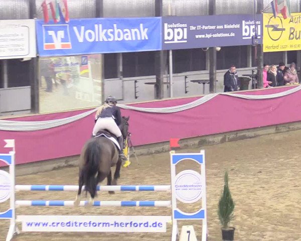 Reitturnier Vlotho-Exter 2018