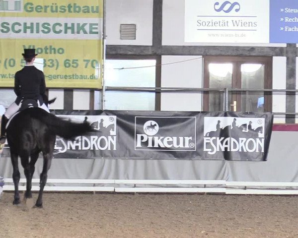 Reitturnier Vlotho-Exter 2018