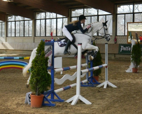 Springpferd Elektra M (Oldenburger, 2002, von Dormello)