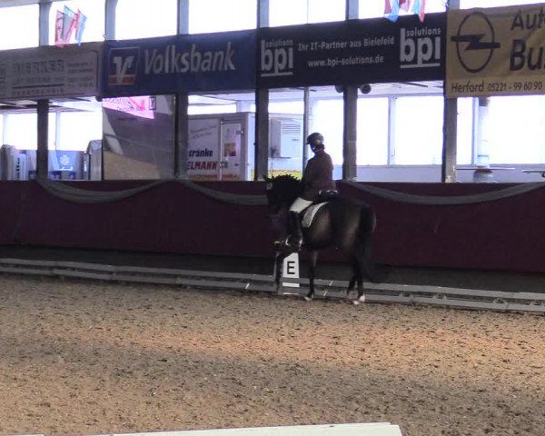 Reitturnier Vlotho-Exter 2018
